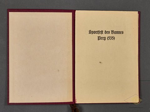 Handsome Sport Festival Award for Pistol Shooting — image 3