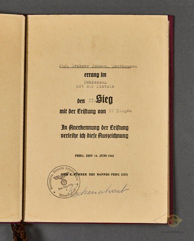 Handsome Sport Festival Award for Pistol Shooting — image 4