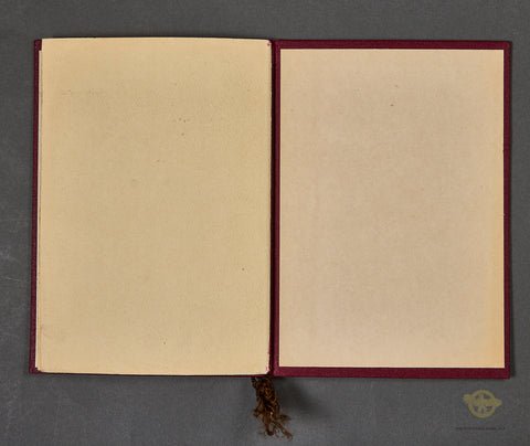 Handsome Sport Festival Award for Pistol Shooting — image 5