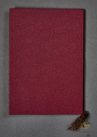 Handsome Sport Festival Award for Pistol Shooting — image 6