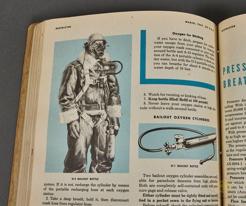 BIF Bombardiers' Information File — image 8