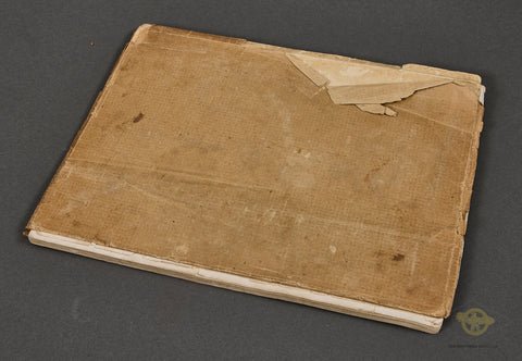 Veteran Bring Back Mit Hitler in Polen (With Hitler in Poland) — image 2