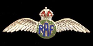 Royal Air Force pilot wing silver and enamel RAF sweetheart …