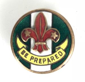 Boy Scouts Group Scoutmaster lapel badge Collins London