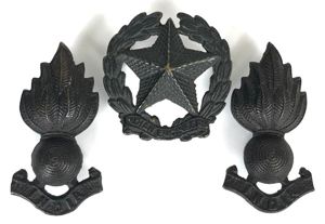 Indian Engineers OSD Cap Badge & Pair of Matching Collars …