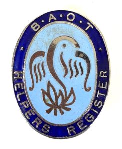 British Association of Occupational Therapists Helpers Register BAOT Union Badge