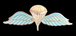 Airboune Forces silver and enamel pin badge