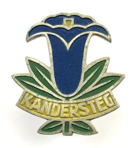 Rover Moot 1931 Kandersteg OFFICIAL issue scout badge Huguenin Freres …