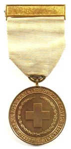 British Red Cross Society 1914-1918 war service medal