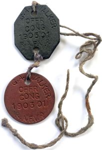 WW2 Royal Air Force RAFVR Navigator identification pair of dog …