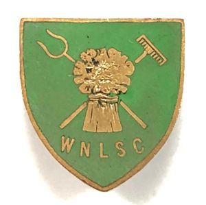 WW1 Womens National Land Services Corps WNLSC badge
