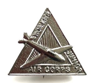 WW2 Womens Junior Air Corps WJAC hat badge