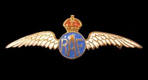WW2 Royal Air Force pilot wing RAF gilt and enamel …