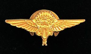 GQ Parachutist Company gold qualification badge