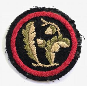 Girl Guides Oak Tree patrol emblem felt cloth badge circa …