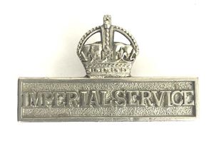 WW1 Territorial Force Imperial Service Volunteer breast badge Officially Numbered …