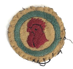 Boy Scouts Poultry Farm proficiency khaki felt cloth badge c.1909 …