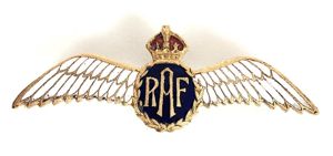 WW2 Royal Air Force Pilot's Wing RAF Gilt & Enamel …