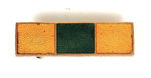 Girl Guides Pack Holiday Permit adult qualification bar badge