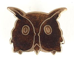 Girl Guides Brown Owl leader badge
