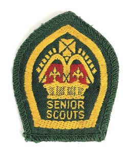 Senior Scouts Kings cloth embroidered shield badge