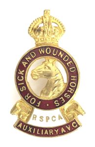 WW1 RSPCA Auxiliary Army Veterinary Corps AVC badge