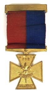 Boy Scout Gilt Cross Gallantry Award For Heroism Old North …