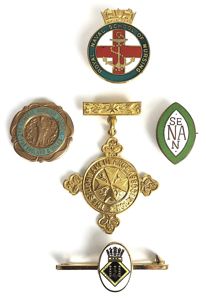 Royal Naval School of Nursing group of badges S.E.N. 1961