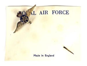 EIIR Royal Air Force pilot's wing enamel RAF cravat pin …
