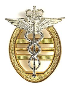 Princess Marys Royal Air Force Nursing Service PMRAFNS Wing Officer …