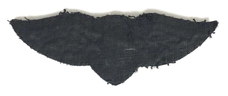 Cambrian Airways Airline Pilots Wing Badge Cardiff Airport Wales — image 2