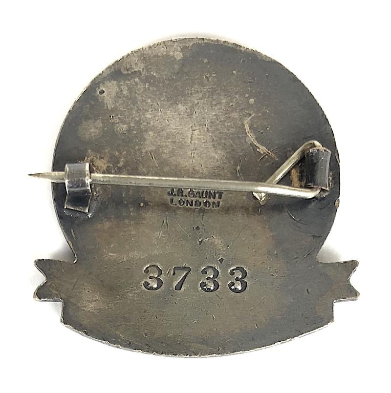 Registered Medical Auxiliary Speech Therapist pin badge — image 2