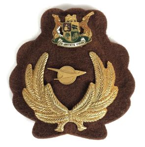South African Transport Services cap badge