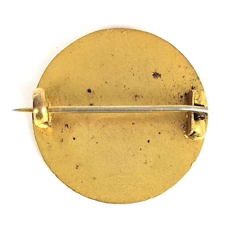 St Georges Old Boys pin badge — image 2