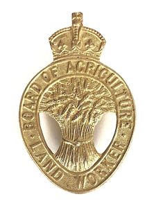 WW1 Board of Agriculture Land Worker womens pin badge