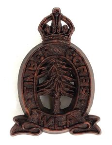 Womens Land Army Timber Corps plastic economy issue WLA hat …