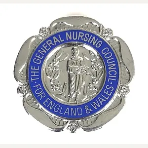 General Nursing Council Registered Mental Nurse RMN Badge unnamed