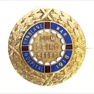 Dynblane War Hospital 1918 war service badge