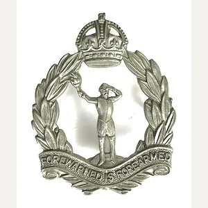 Royal Observer Corps ROC beret badge c1941 - 1952