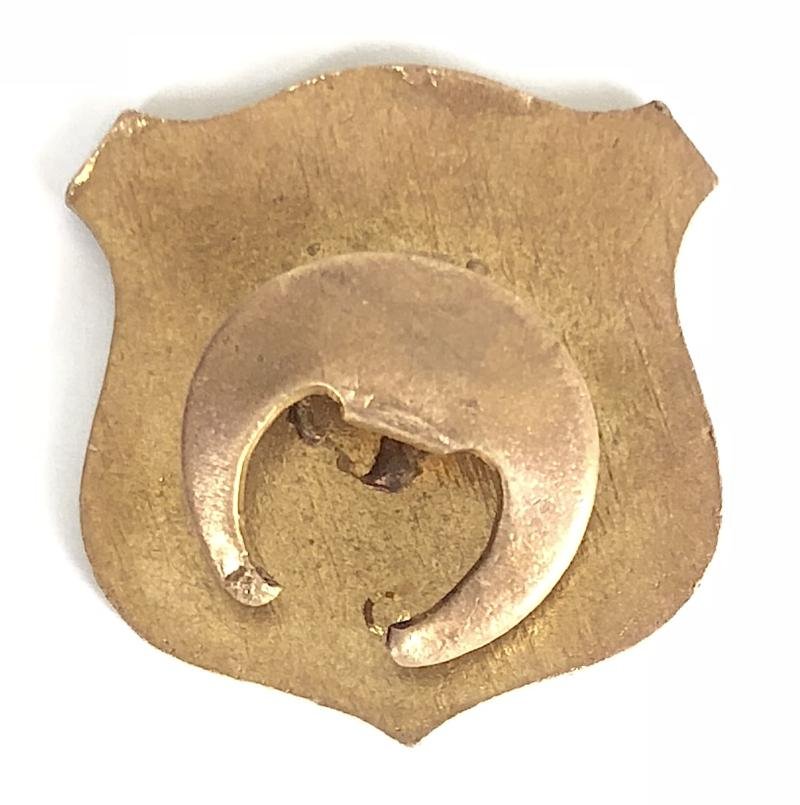 Bristol Rovers Football Club supporters badge — image 2