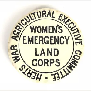 WW1 Hertfordshire War Agricultural Executive Committee WELC Badge
