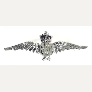 Royal Air Force Pilot's Wing RAF petite brooch perfect for …