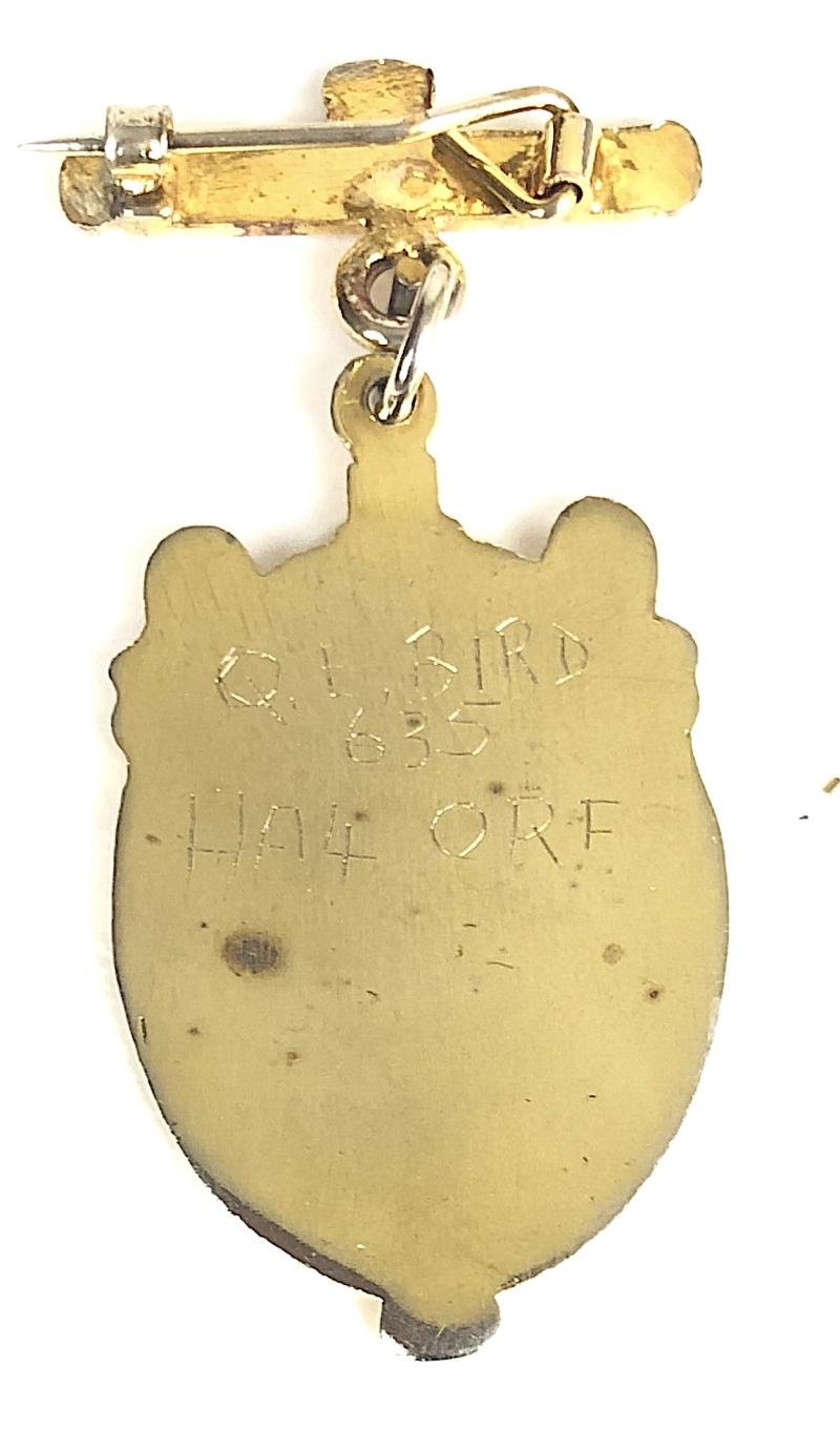 Royal Masonic Hospital gilt and enamel nurses badge — image 2