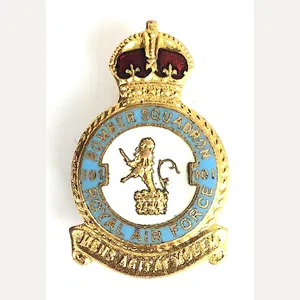 RAF No 101 Bomber Squadron Royal Air Force Badge H.W. …