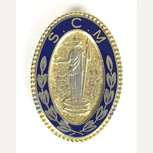 State Certified Midwife SCM nurses hospital badge