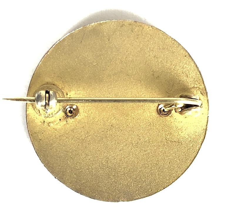 Royal Air Force Nurse Training School uniform pin badge — image 2