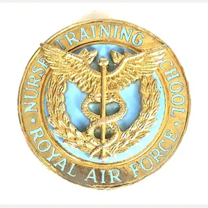 Royal Air Force Nurse Training School uniform pin badge
