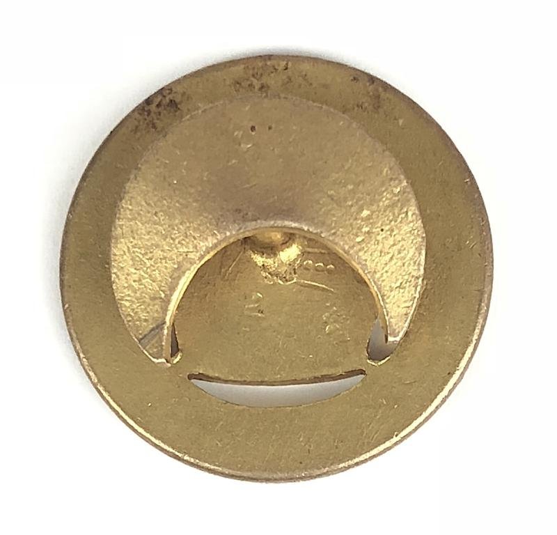 WW1 National Reserve Norfolk home front badge — image 2