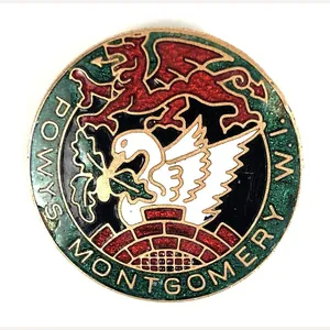 Womens Institutes WI Powys Montgomery Welsh badge