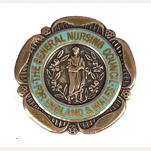 General Nursing Council State Enrolled Nurse SEN badge unnamed